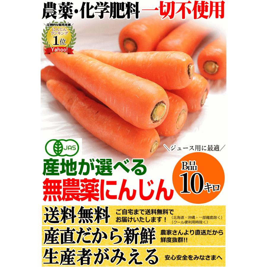 オーガニック 2980円⇒2780円！にんじん 人参 10kg 無農薬 人参 送料