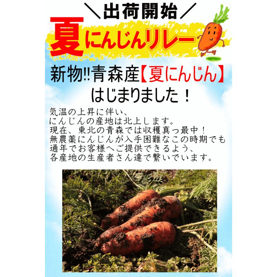 クーポンで2592円！青森産開始☆あすつく 無農薬にんじん 10キロ 訳 