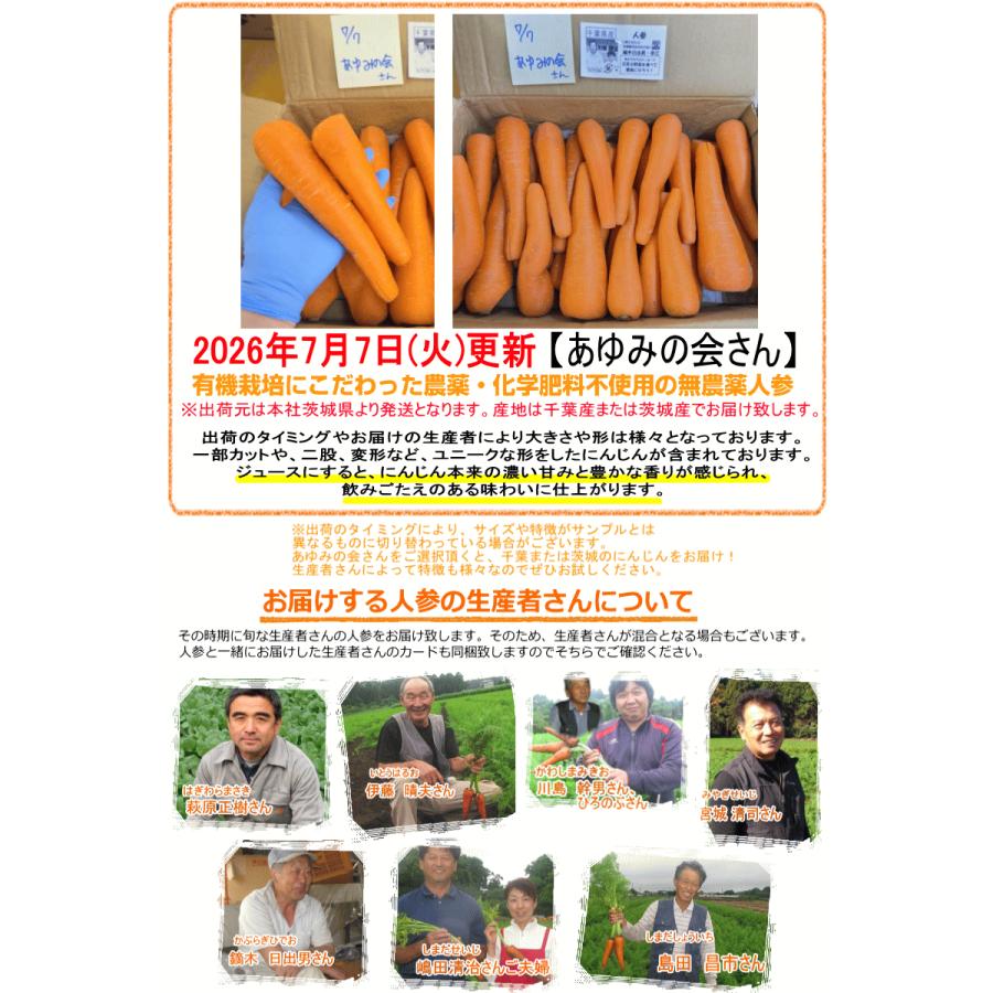 オーガニック にんじん 人参 10kg 無農薬 人参 送料無料 訳あり 10キロ