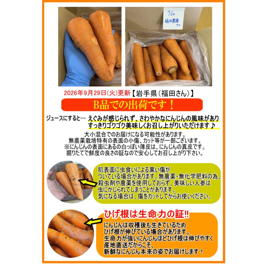 オーガニック クーポンで10%引き！2380円〜 にんじん 人参 10kg 無農薬
