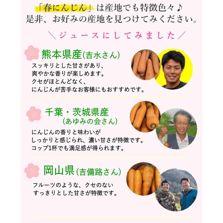 オーガニック 2980円⇒2780円！にんじん 人参 10kg 無農薬 人参 送料