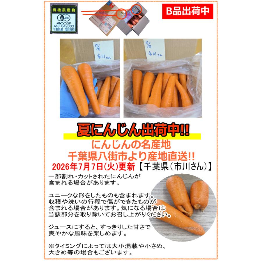 オーガニック にんじん 人参 10kg 無農薬 人参 送料無料 訳あり 10キロ