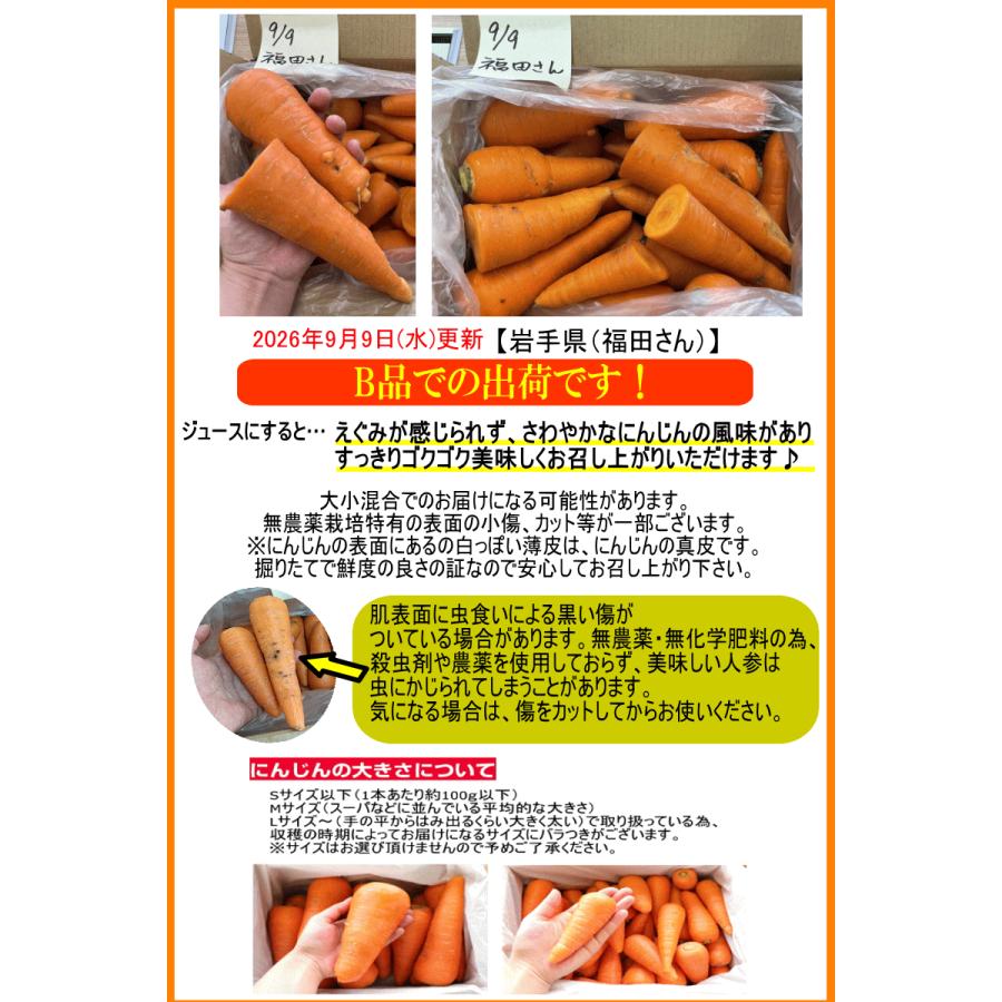 オーガニック 豊作セール！2380円〜 にんじん 人参 10kg 無農薬 人参