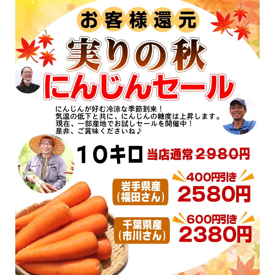 オーガニック クーポンで10%引き！2380円〜 にんじん 人参 10kg 無農薬
