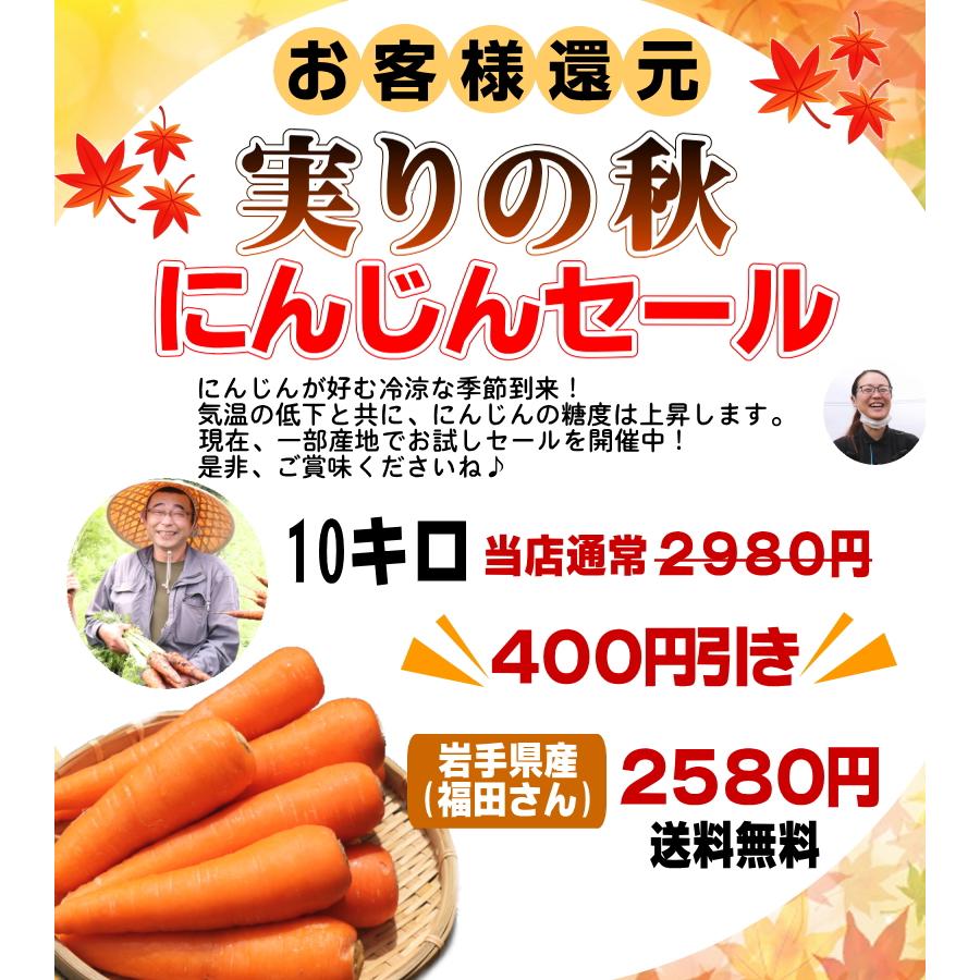 オーガニック クーポンで10%引き！2580円〜 にんじん 人参 10kg 無農薬