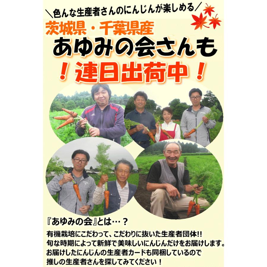 オーガニック クーポンで10%引き！2580円〜 にんじん 人参 10kg 無農薬
