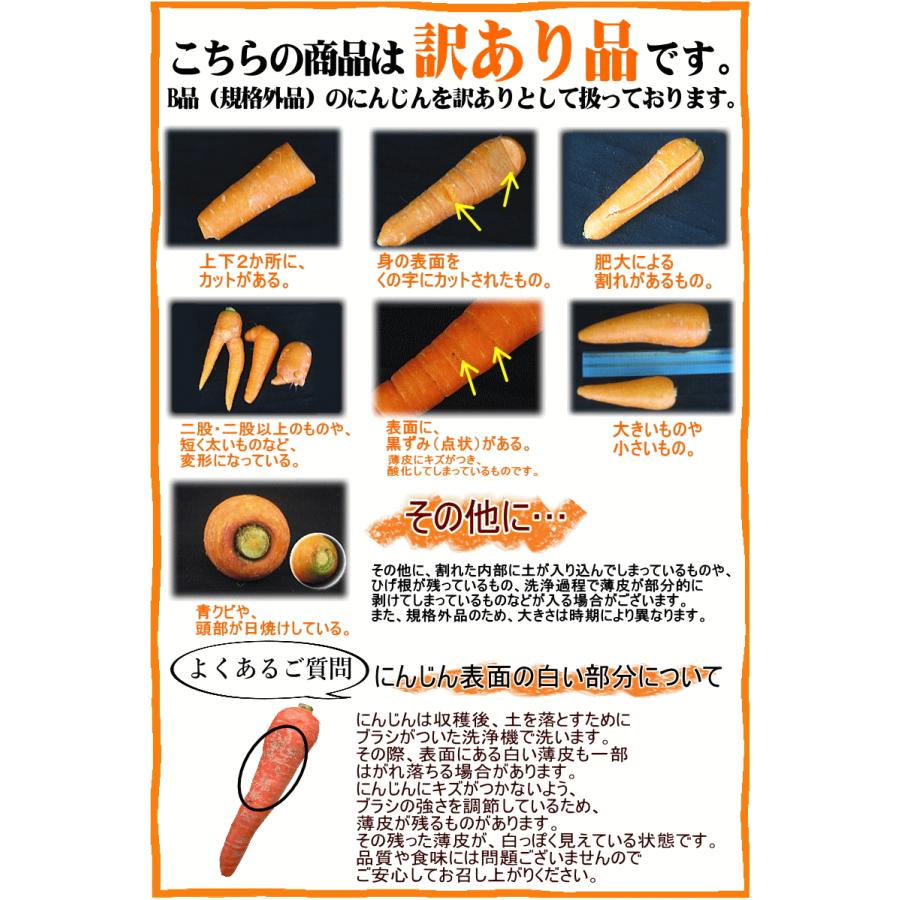 オーガニック クーポン10%引き!にんじん 無農薬人参 20kg (10kg オーガニック クーポン10%引き!にんじん 無農薬人参 20kg (10kg