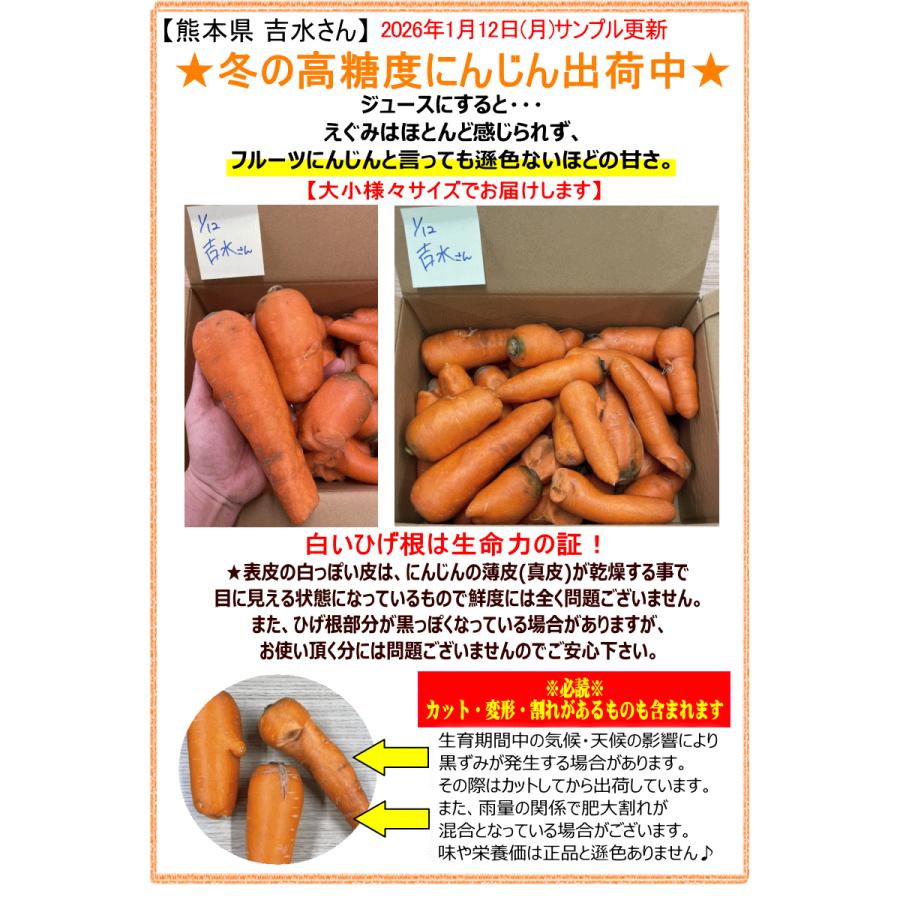 オーガニック 冬の高糖度 にんじん 人参 20kg (10kg×2個) 無農薬 人参