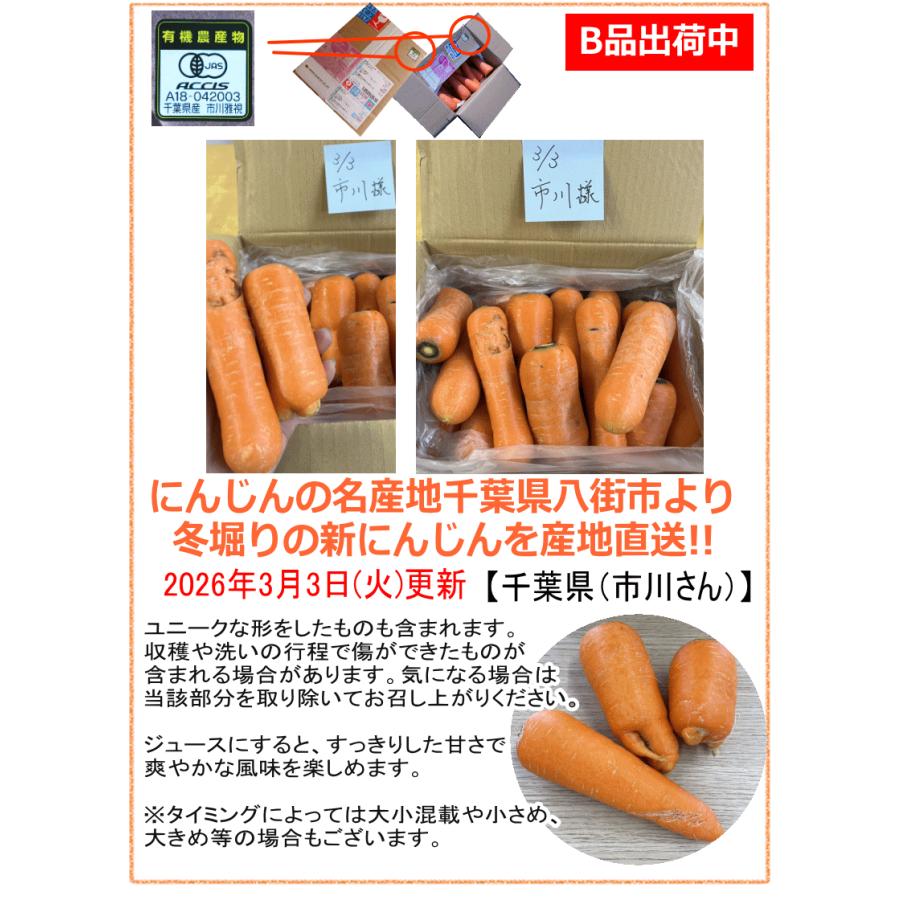 オーガニック 冬の高糖度 にんじん 人参 20kg (10kg×2個) 無農薬 人参