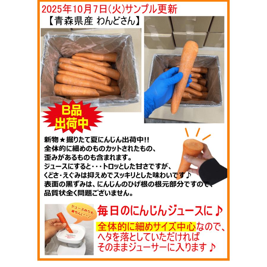 オーガニック にんじん 人参 20kg (10kg×2個) 無農薬 送料無料