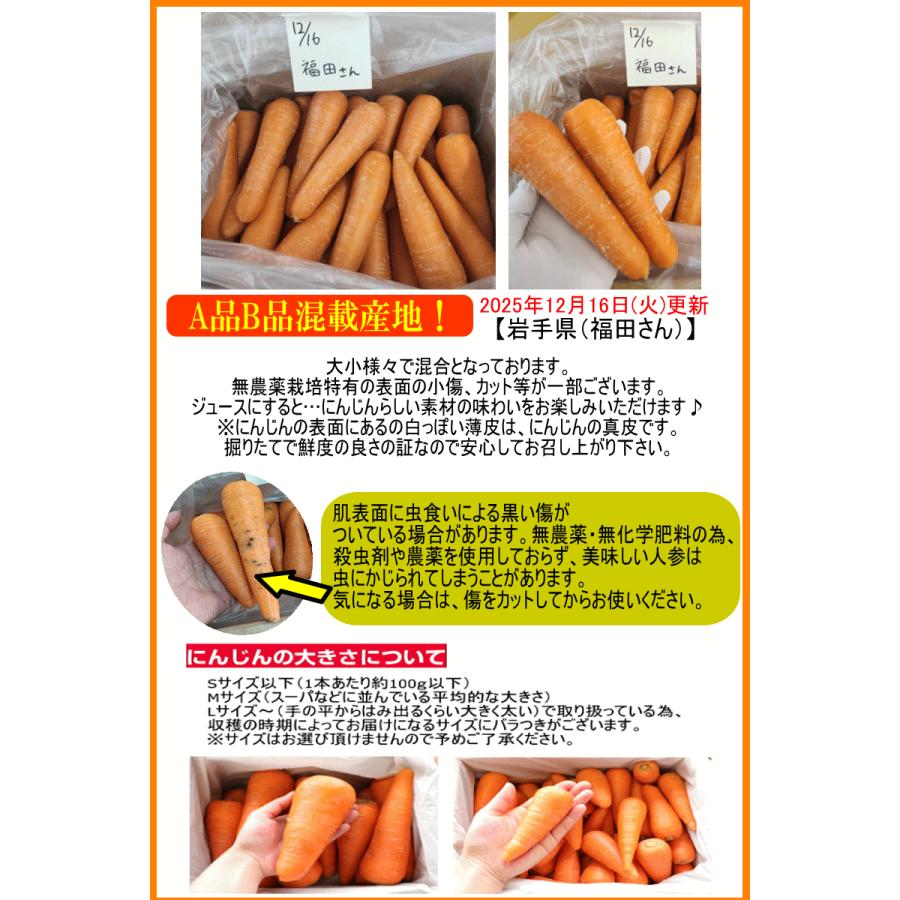 オーガニック 冬の高糖度 にんじん 人参 20kg (10kg×2個) 無農薬 人参