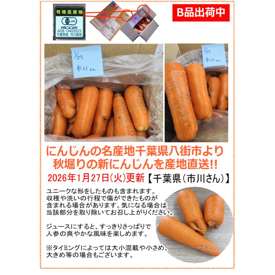 にんじん オーガニック 冬の高糖度 にんじん 人参 20kg (10kg×2個) 無農薬 人参
