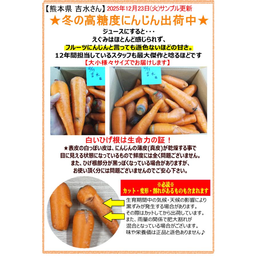 オーガニック 冬の高糖度 にんじん 人参 20kg (10kg×2個) 無農薬 人参