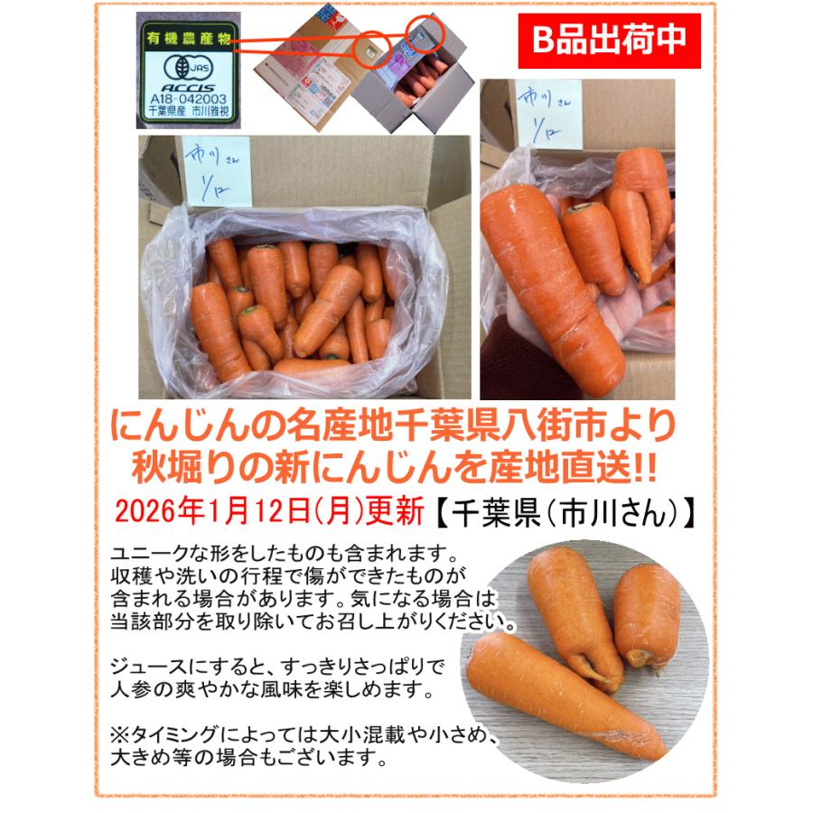 やほー様専用 ミニ人参 20kg コレクション にんじん 人参 約20kg 箱 L