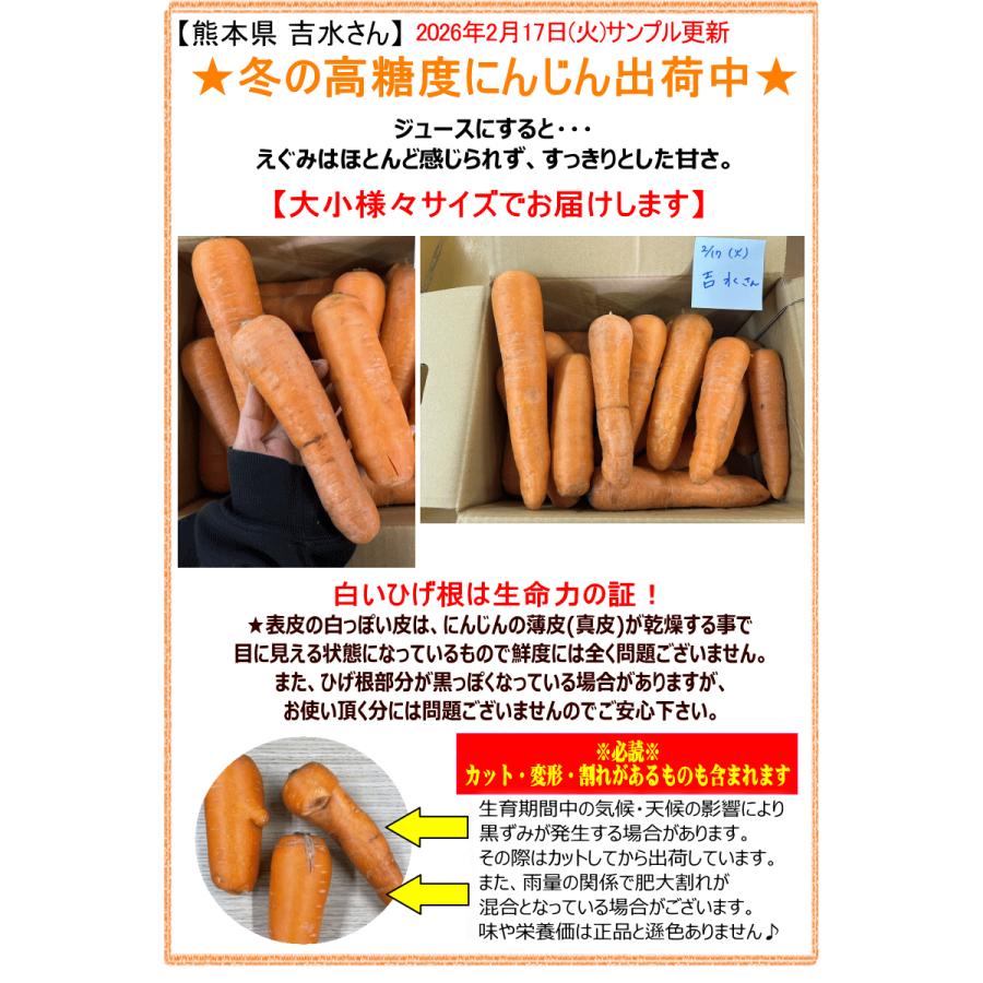 オーガニック 冬の高糖度 にんじん 人参 20kg (10kg×2個) 無農薬 人参