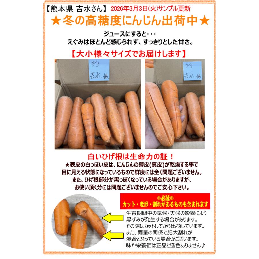 オーガニック 冬の高糖度 にんじん 人参 20kg (10kg×2個) 無農薬 人参