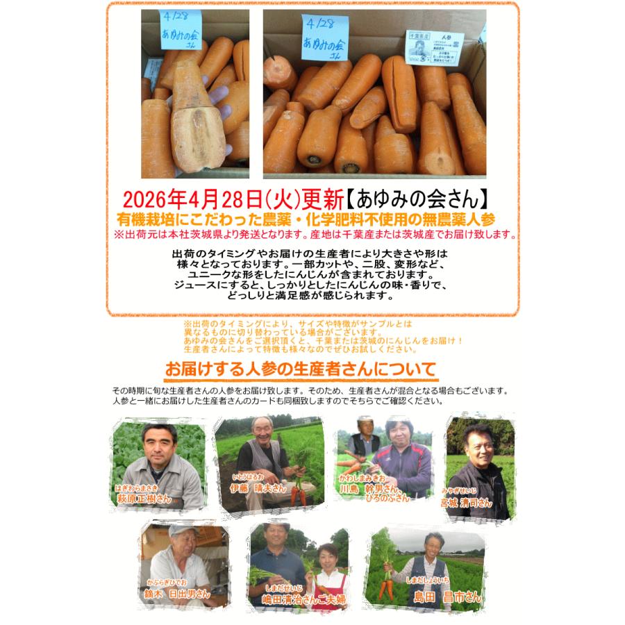 オーガニック にんじん 人参 20kg (10kg×2個) 無農薬 人参 送料無料 訳