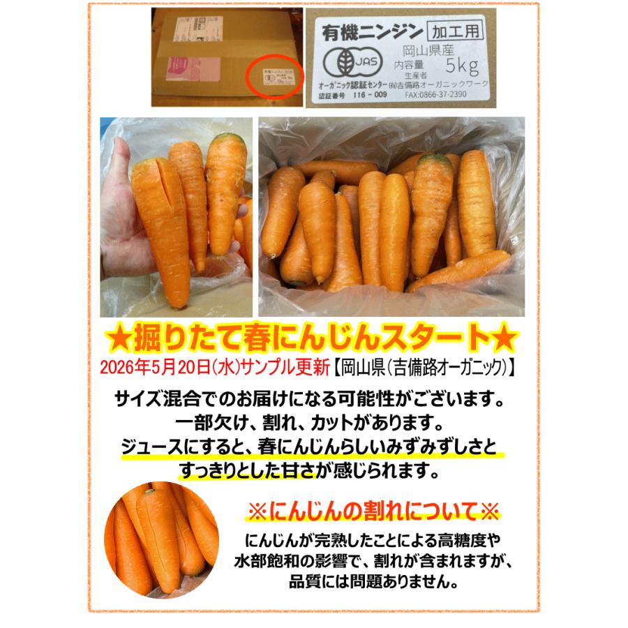 めっちゃ安い　訳あり　人参　20kg 43 オーガニック 春にんじん 人参 20kg (10kg×2個) 無農薬 人参 送料無料