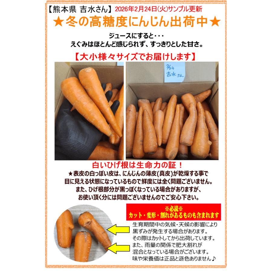 オーガニック 冬の高糖度 にんじん 人参 20kg (10kg×2個) 無農薬 人参