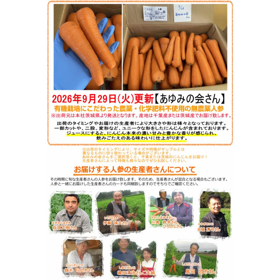 オーガニック クーポンで10%引き！にんじん 人参 20kg (10kg×2個) 無