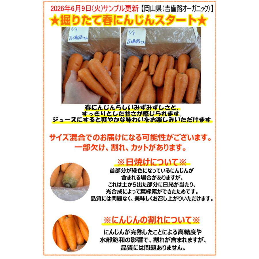 オーガニック 春にんじん 人参 20kg (10kg×2個) 無農薬 人参 送料無料