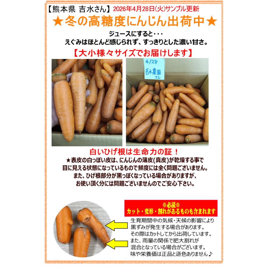 オーガニック にんじん 人参 20kg (10kg×2個) 無農薬 人参 送料無料 訳