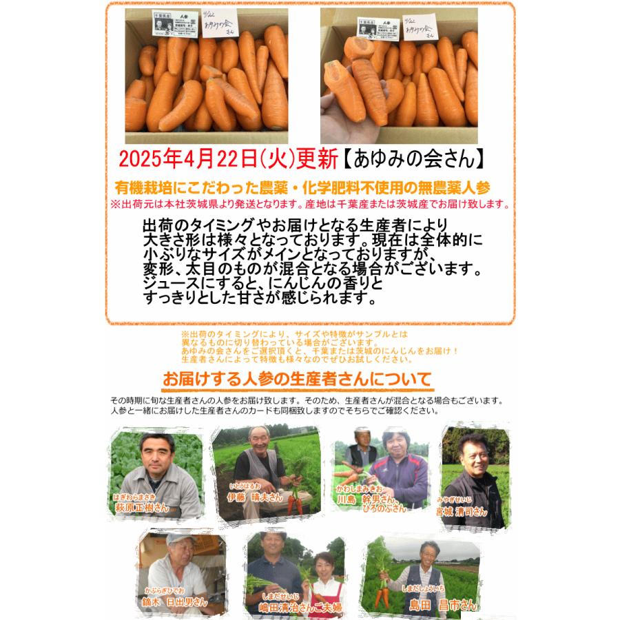 オーガニック クーポン10%引き!にんじん 無農薬人参 20kg (10kg オーガニック クーポン10%引き!にんじん 無農薬人参 20kg (10kg