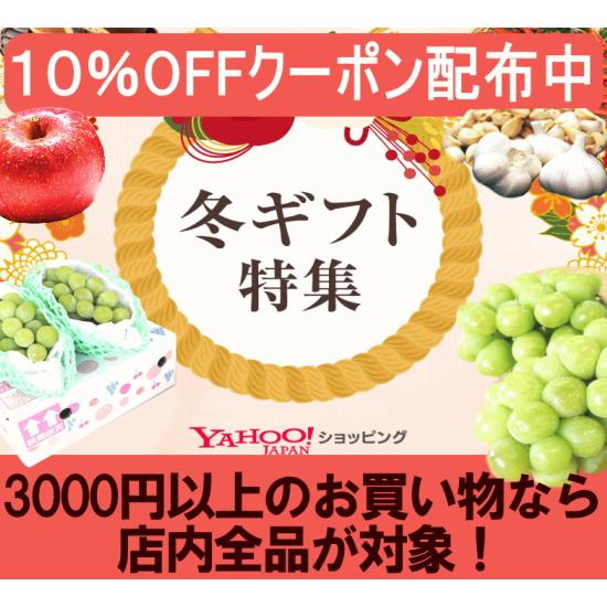 オーガニック 冬の高糖度 にんじん 人参 20kg (10kg×2個) 無農薬 人参