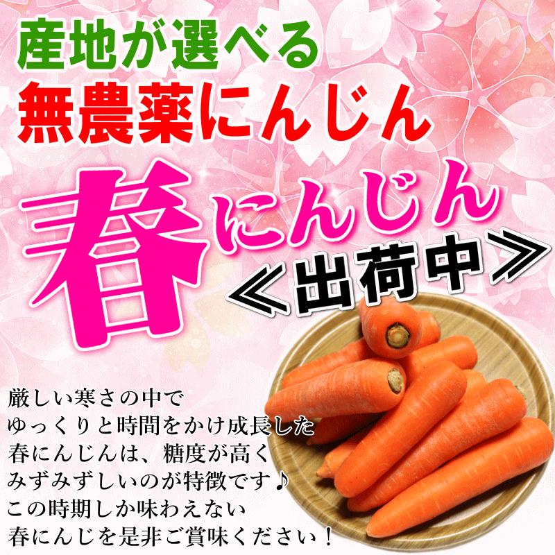 めっちゃ安い　訳あり　人参　20kg 43 オーガニック 爆買！春にんじん 人参 20kg (10kg×2個) 無農薬 人参