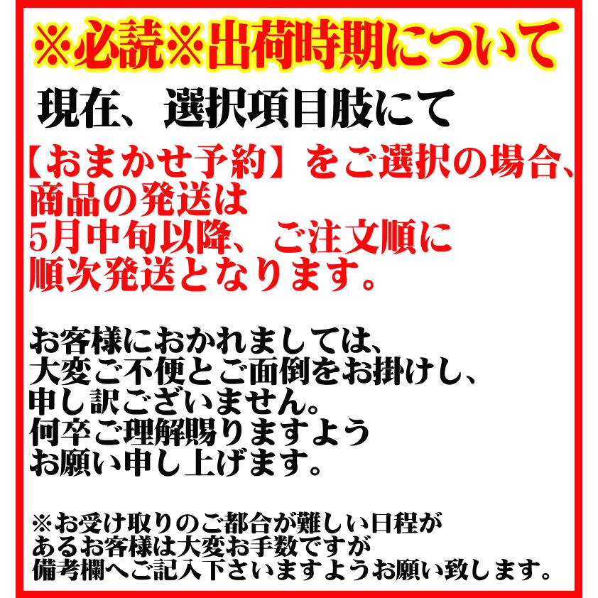 オーガニック にんじん 人参 20kg (10kg×2個) 無農薬 人参 送料無料 訳