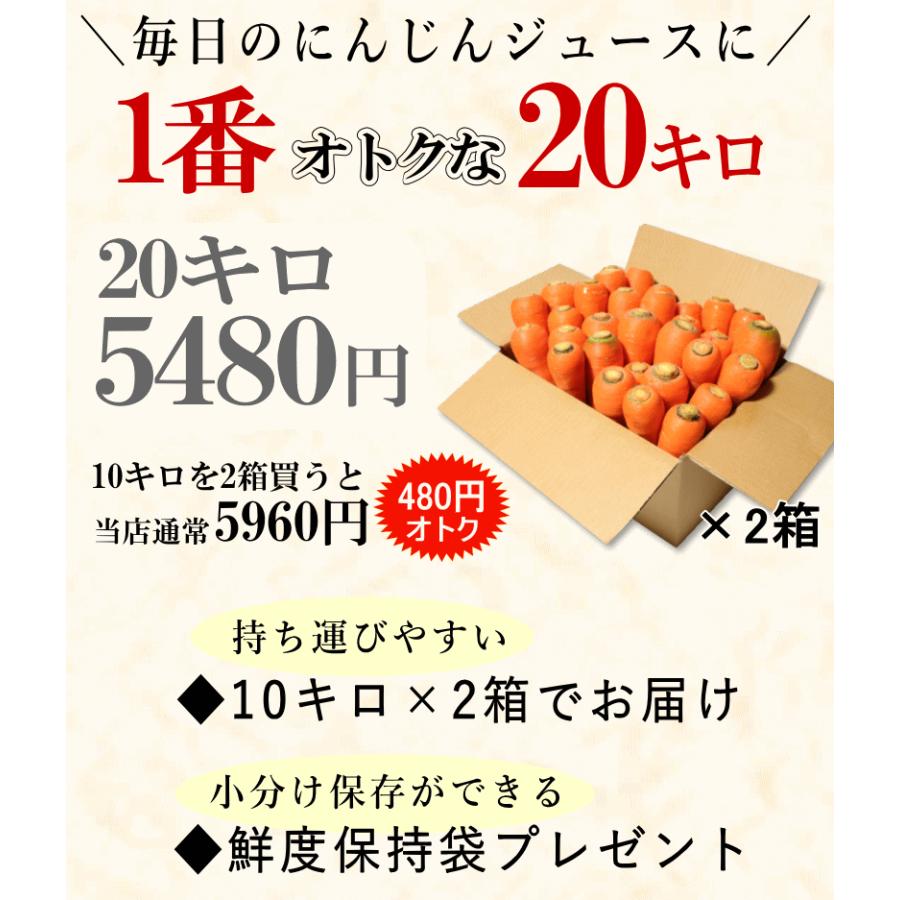 オーガニック 春にんじん 人参 20kg (10kg×2個) 無農薬 人参 送料無料