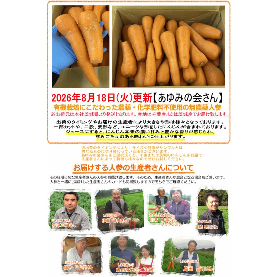 がぶ　北海道産雪の下人参訳あり20キロ✖️4 北海道産にんじん20kg がぶ 北海道産雪の下人参訳あり20キロ✖️4 雪下