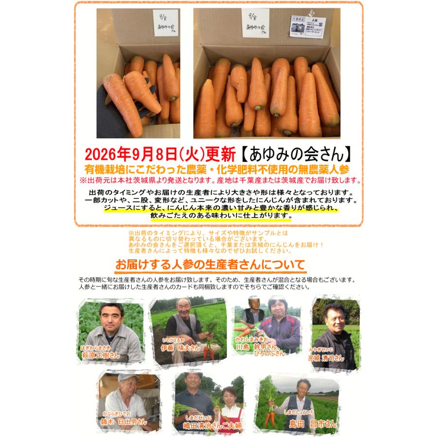 訳あり人参100kg。20kg ×5箱 オーガニック にんじん 人参 20kg (10kg×2個) 無農薬 人参 送料無料 訳
