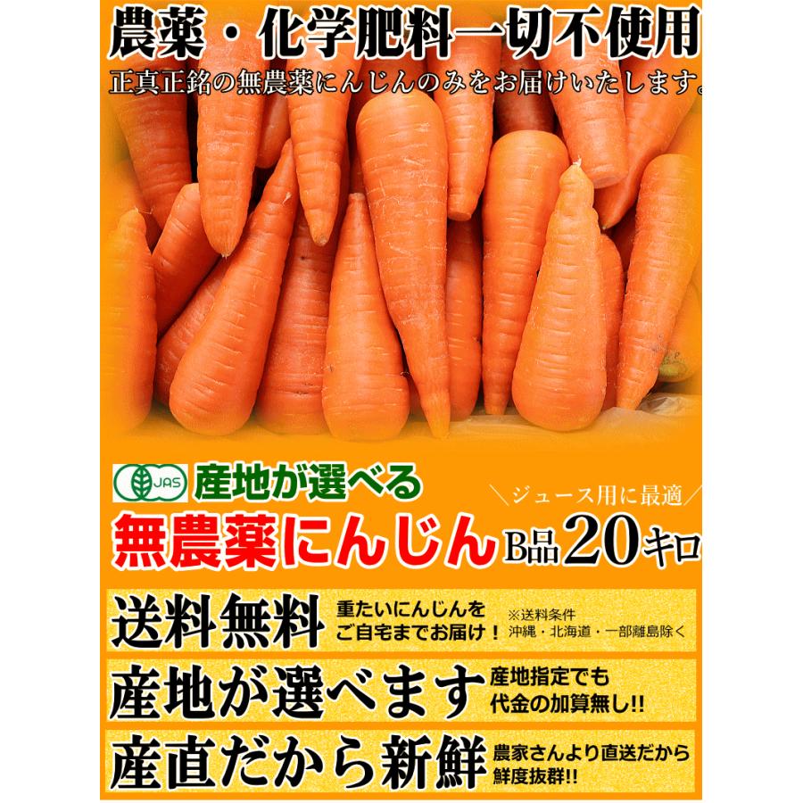 オーガニック クーポン10%引き!にんじん 無農薬人参 20kg (10kg オーガニック クーポン10%引き!にんじん 無農薬人参 20kg (10kg