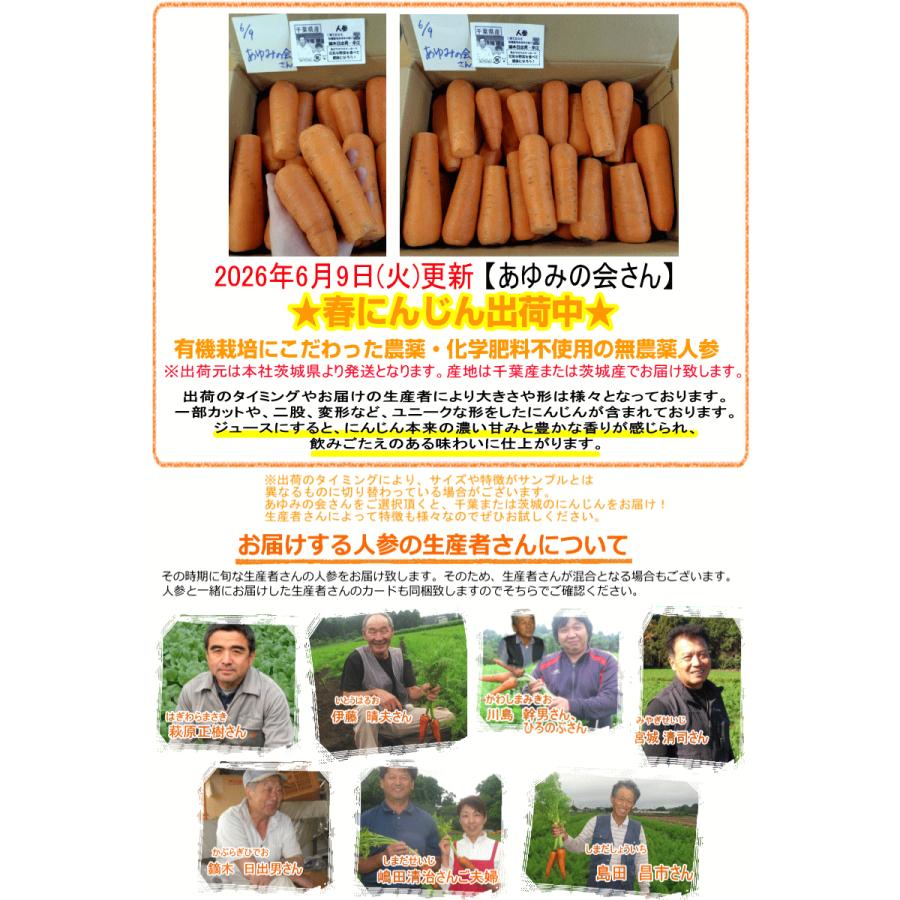 ninnin人参さま専用 オーガニック 春にんじん 人参 20kg (10kg×2個) 無農薬 人参 送料無料