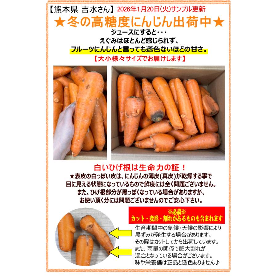 オーガニック 冬の高糖度 にんじん 人参 20kg (10kg×2個) 無農薬 人参