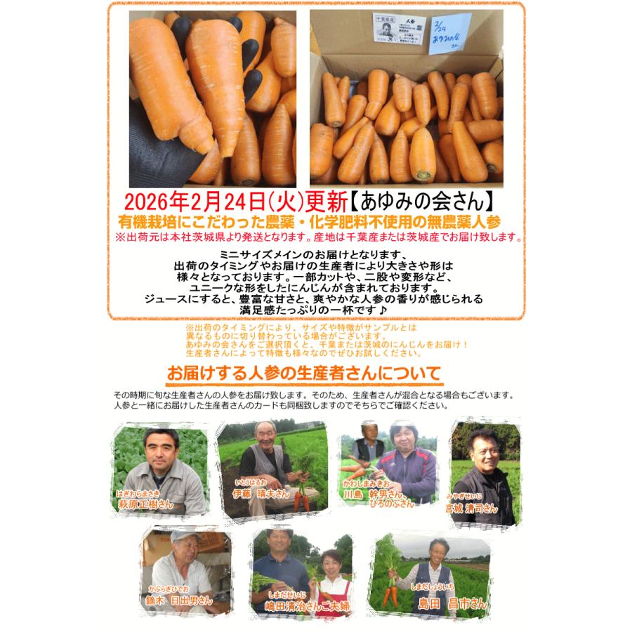 オーガニック 冬の高糖度 にんじん 人参 20kg (10kg×2個) 無農薬 人参