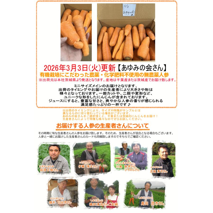 オーガニック クーポン最大700円引き にんじん 人参 20kg (10kg×2個