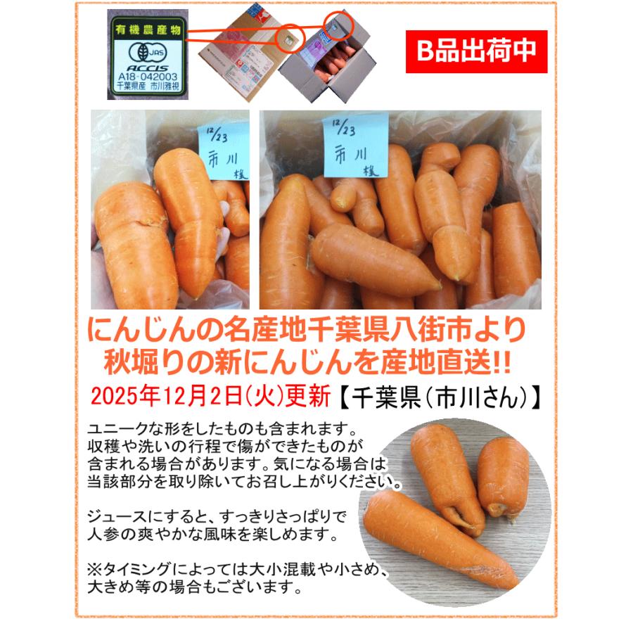 オーガニック ポイント5倍☆にんじん 無農薬人参 5kg×4回 訳あり【定期