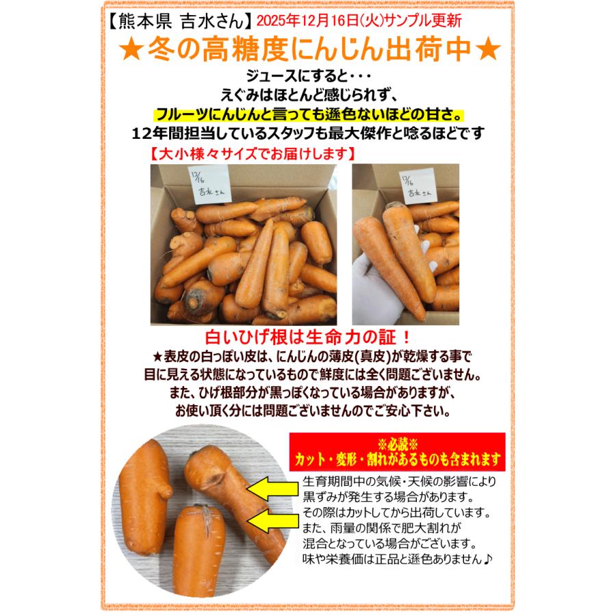 オーガニック ポイント5倍☆にんじん 無農薬人参 5kg×4回 訳あり【定期