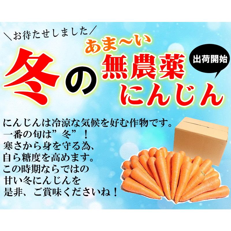 にんじん様・専用 オーガニック ポイント5倍☆にんじん 無農薬人参 5kg×4回 訳あり【定期