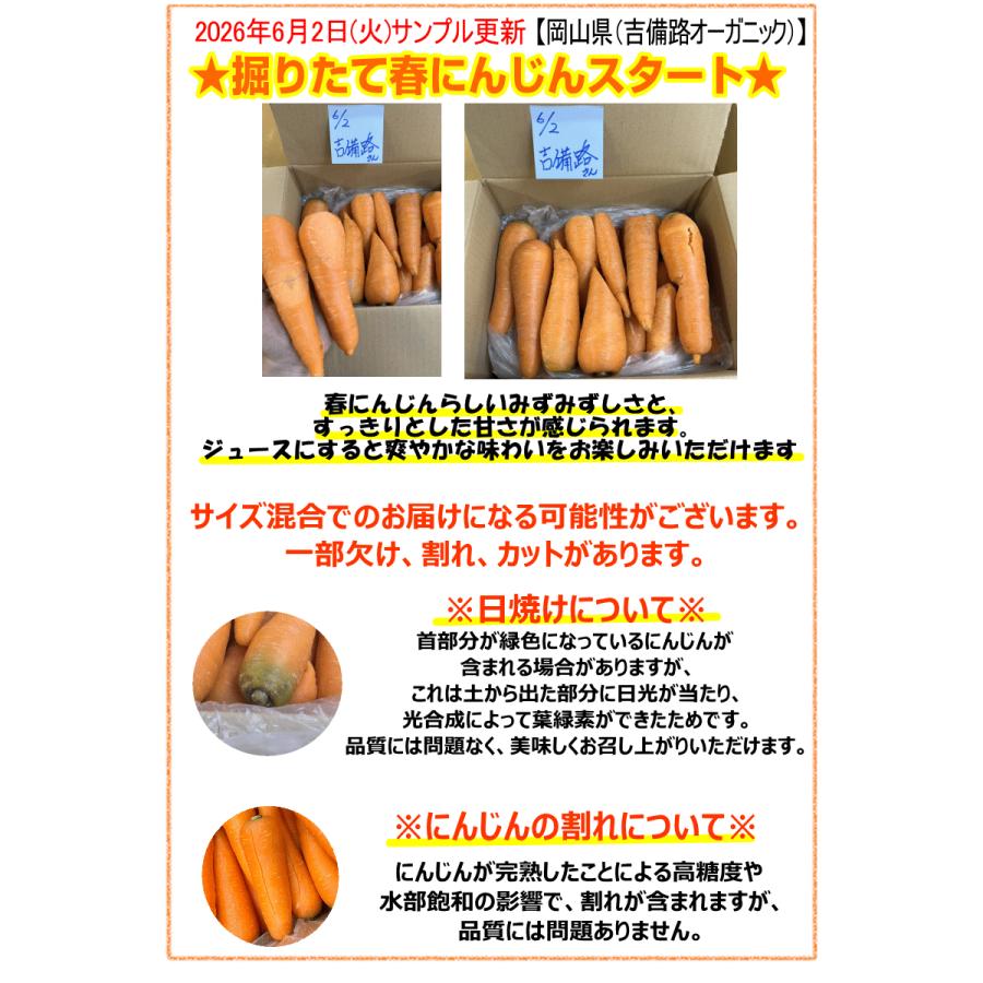 2L3L10㎏ 訳あり8㎏ 無農薬 オーガニック 8%還元！にんじん 無農薬人参 10kg×2回 訳あり【定期購入