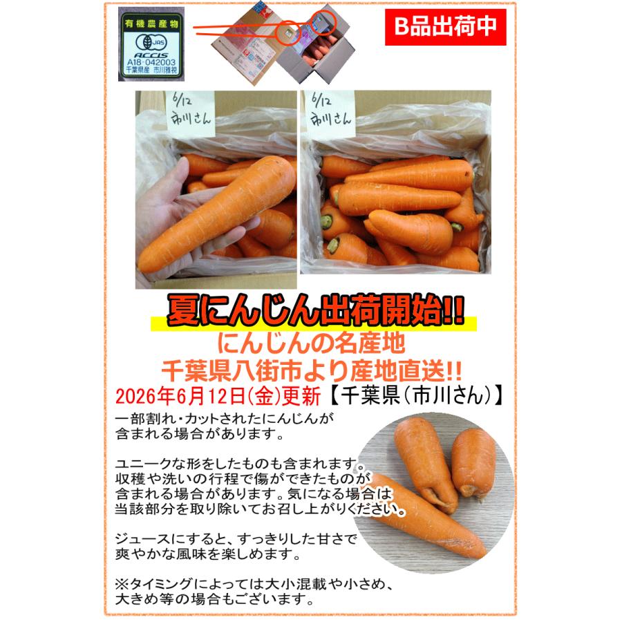 オーガニック 8%還元！にんじん 無農薬人参 10kg×2回 訳あり【定期購入