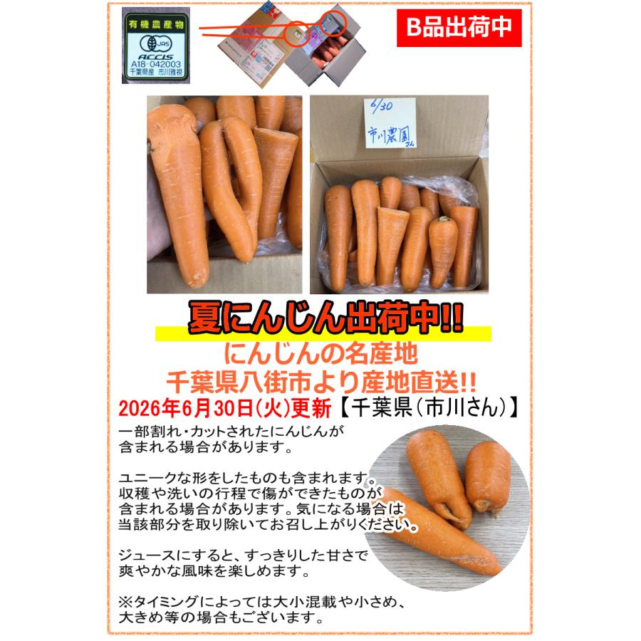 2L3L10㎏ 訳あり8㎏ 無農薬 オーガニック 8%還元！にんじん 無農薬人参 10kg×2回 訳あり【定期購入