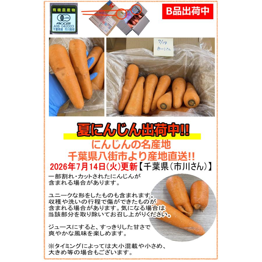 2L3L10㎏ 訳あり8㎏ 無農薬 オーガニック 8%還元！にんじん 無農薬人参 10kg×2回 訳あり【定期購入
