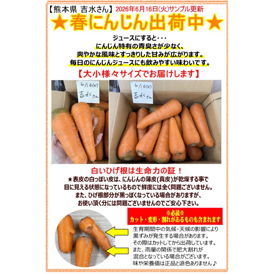 オーガニック 8%還元！にんじん 無農薬人参 10kg×2回 訳あり【定期購入