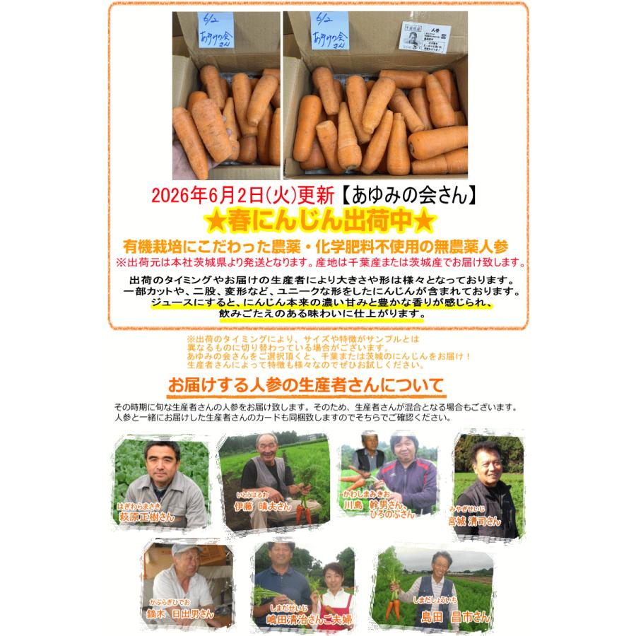 2L3L10㎏ 訳あり8㎏ 無農薬 オーガニック 8%還元！にんじん 無農薬人参 10kg×2回 訳あり【定期購入
