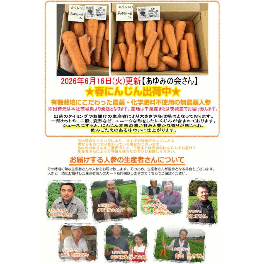 オーガニック 8%還元！にんじん 無農薬人参 10kg×2回 訳あり【定期購入