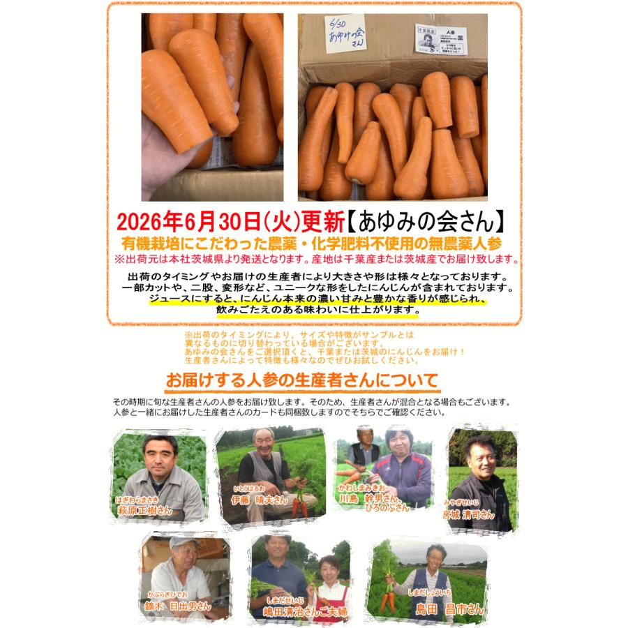 オーガニック 8%還元！にんじん 無農薬人参 10kg×2回 訳あり【定期購入