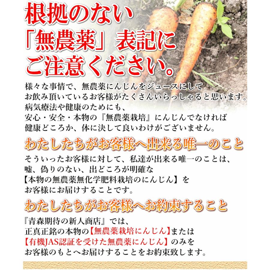 オーガニック 8%還元！にんじん 無農薬人参 10kg×2回 訳あり【定期購入